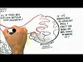 RSA Animate - The Empathic Civilisation