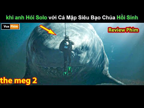 Khi anh Hói lần nữa Solo với Cá Mập Hồi Sinh - Review phim The Meg 2