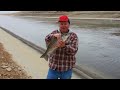 California aqueduct striped bass or striper fishin