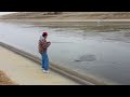 California aqueduct striped bass or striper fishin