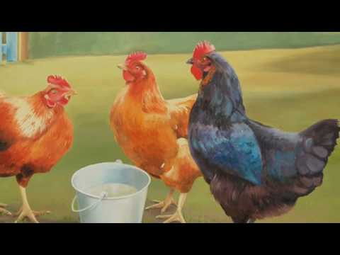 動物狂歡節-《公雞和母雞》Saint-Saens: Carnival of the Animals~Poules et Coqs (Hens and Cockerals) - YouTube