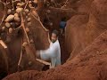 Giant Ant Hill Excavated