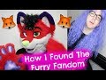 How I Found The Furry Fandom