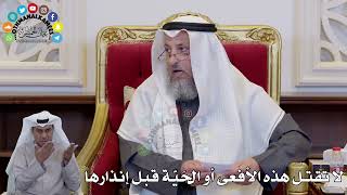 1413 - لا تقتل هذه الأفعى أو الحَيّة قَبْلَ إنذارها - عثمان الخميس