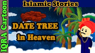A Date Tree in Heaven  | Islamic Stories | Sahaba Stories | Hadith Stories | IQRA Cartoon