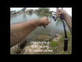 Lucky Craft ESG II vs Loup Bar en No Kill Shimano Biomaster 3000 SFB par Marco