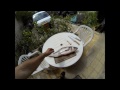 Lucky Craft ESG II vs Loup Bar en No Kill Shimano Biomaster 3000 SFB par Marco