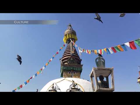 TREKKING IN THE HIMALAYAS WITH DOWN TO EARTH ADVENTURE