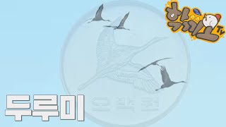 [학끼오TV] 두루미 3,500마리가 사는 철원으로 오세요!  with 신철원초 4학년 매화반