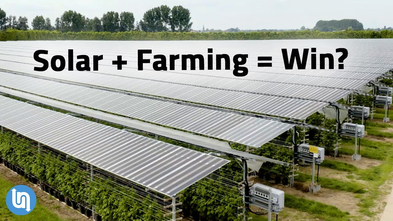Solar Panels Plus Farming