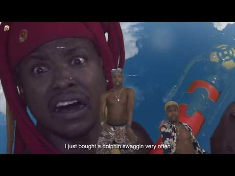 Bought A Dolphin music video by Paperboy Prince of the Suburbs