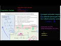 #51 - The Coagulation Cascade, coagulation factors II, XII, IX, and X, extrinsic & intrinsic pathway