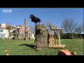 Amazing Raven intelligence test - Clever Critters - BBC Animals