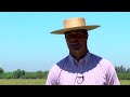 SELLO DE RAZA CABALLOS CHILENOS criadero la palma de teno.mp4