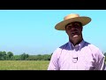 SELLO DE RAZA CABALLOS CHILENOS criadero la palma de teno.mp4