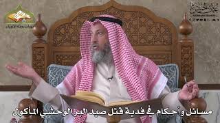 575 - مسائل وأحكام في فدية قتل صيد البر الوحشي المأكول - عثمان الخميس