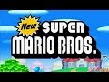 New Super Mario Bros. DS Full Game Walkthrough (100%) Obrázok autora