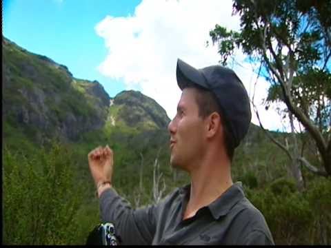 Cradle Mountain Experience