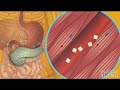 Glucose animation