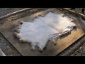 Tan a Sheep Skin with Salt - Part 1 of 5