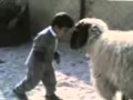 dahk - YouTube_xvid.avi
