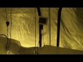 (WEEK 1) 4x8 Medical Marijuana Grow Tent 2x600 Watt -Platinum Bubba Week 1 Veg - Part 1