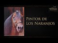 Charla con Sr. Michel Daccahc - CRIADERO LOS NARANJOS (HD) www.delcaballista.com