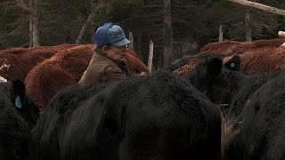 Watch Alaska: The Last Frontier - Season 2 Episode 7