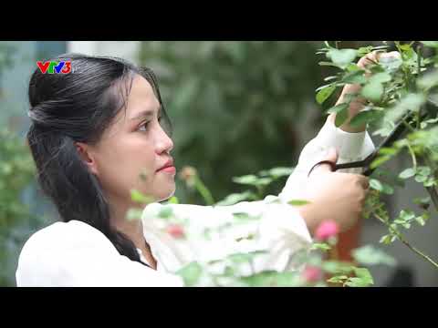 Cắm hoa sáng tạo cho phòng bếp