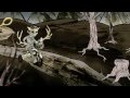 Genesis The Greykid - Do You Know Genesis The Greykid - Do You Know