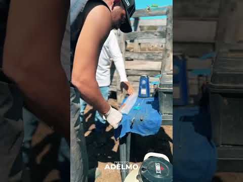 project