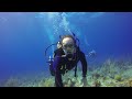Diving Grand Turk - GoPro Hero3 Black, Backscatter Flip3 Filter & Quik Pod Explorer II Monopod