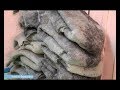 День за днем. Чтобы зимой не болеть, надо валенки