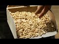 AEK-Pellets® die Produktion