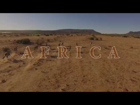 Main Page Video