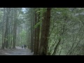 BoA 보아_Between Heaven and Hell (From KBS Drama