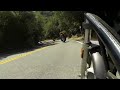 Can A Harley Davidson Street Glide Go Around A Corner?