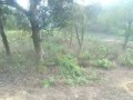 mighty raju