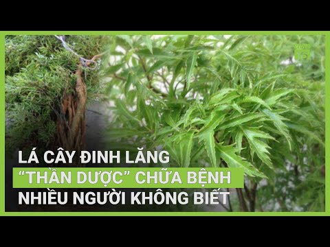 image youtube