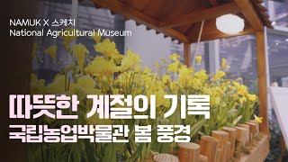 [NAMUK Today] 국립농업박물관 봄풍경 스케치 대표이미지