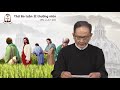 Thứ Ba tuần II thường niên năm C (Mc 2, 23-28) - Lm Tôma Trương Đình Sơn CSsR 22/01/2019