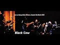 Donald Fagen Band - Black Cow At Massay Hall 2006