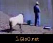 كاميرا خفيه-مواقف وطرائف -اجمد خروف-الاسماعيليه-usa-بنات-sex view on youtube.com tube online. كاميرا خفيه-مواقف وطرائف -اجمد خروف-الاسماعيليه-usa-بنات-sex view on youtube.com tube online.