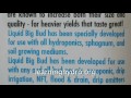Advanced nutrients to maximize hydroponic blooms