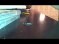 Quick Way To Smoke Weed Wax Oil