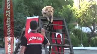 Jandarma Teşkilatı 174 Yaşında