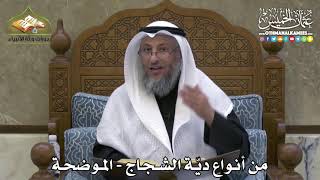 2303 - من أنواع ديّة الشجاج - الموضحة - عثمان الخميس
