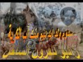 سدوم ولد ايد الكرية