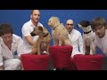 OK Go - White Knuckles - Official Video