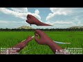 Rage Quit - Probably Archery